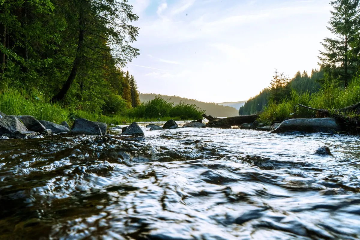 Explainer: Why English Rivers Fail Water Quality Tests